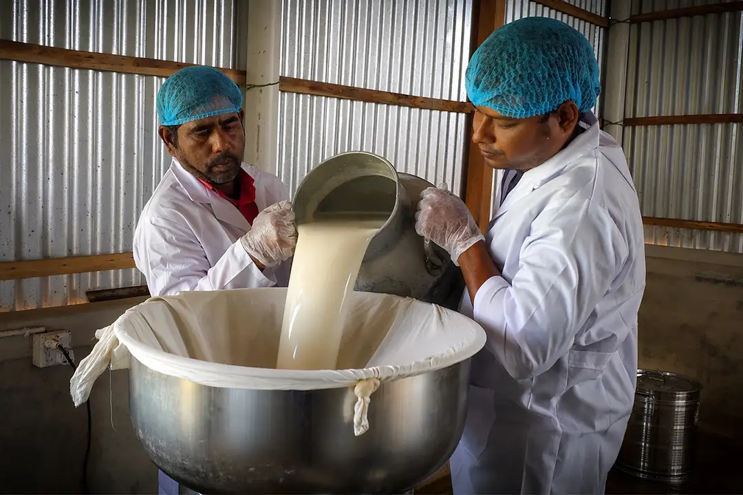 Ensuring safety, hygiene, and purity